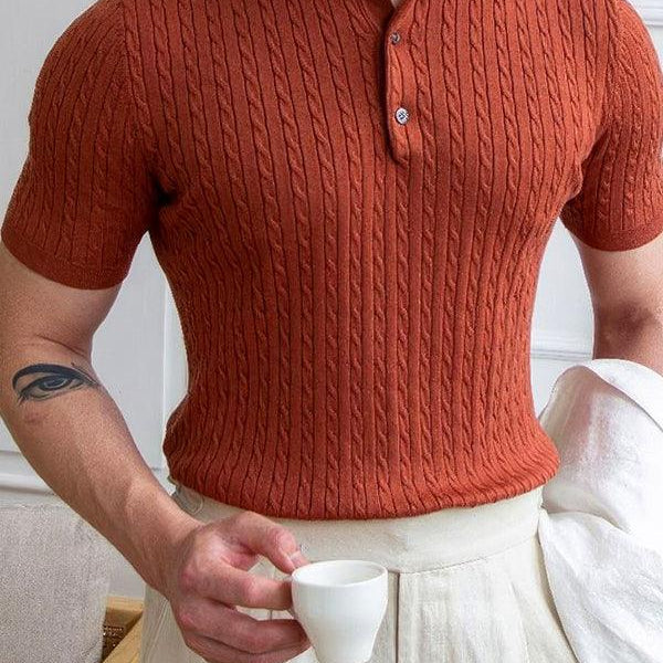 Erkek Polo Yaka Pamuk Saç Örgülü Slim Fit Kısa Kollu İnce Triko Tişört