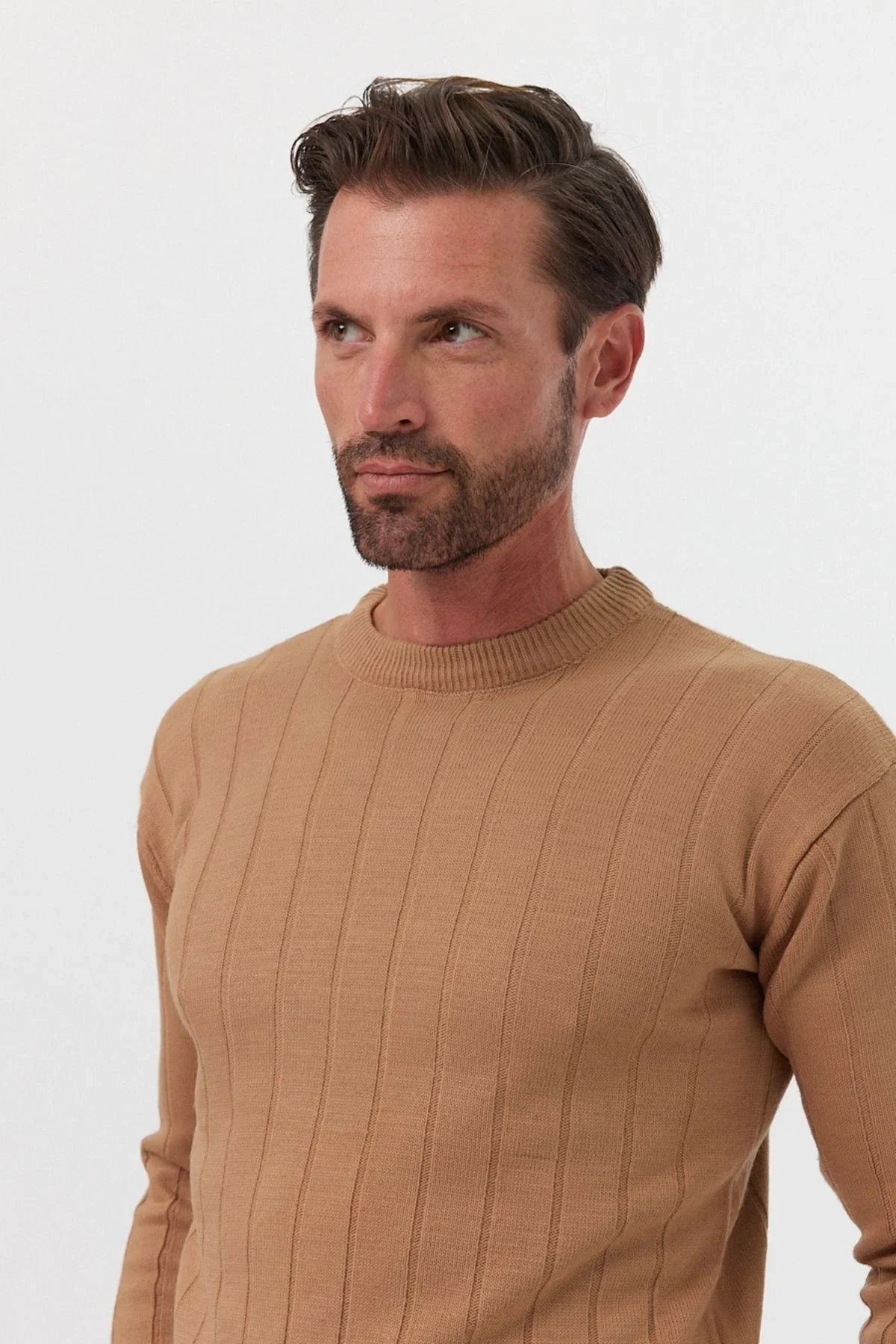 Erkek Slim Fit Dar Kesim Bisiklet Yaka Triko Kazak - Livio Ferri