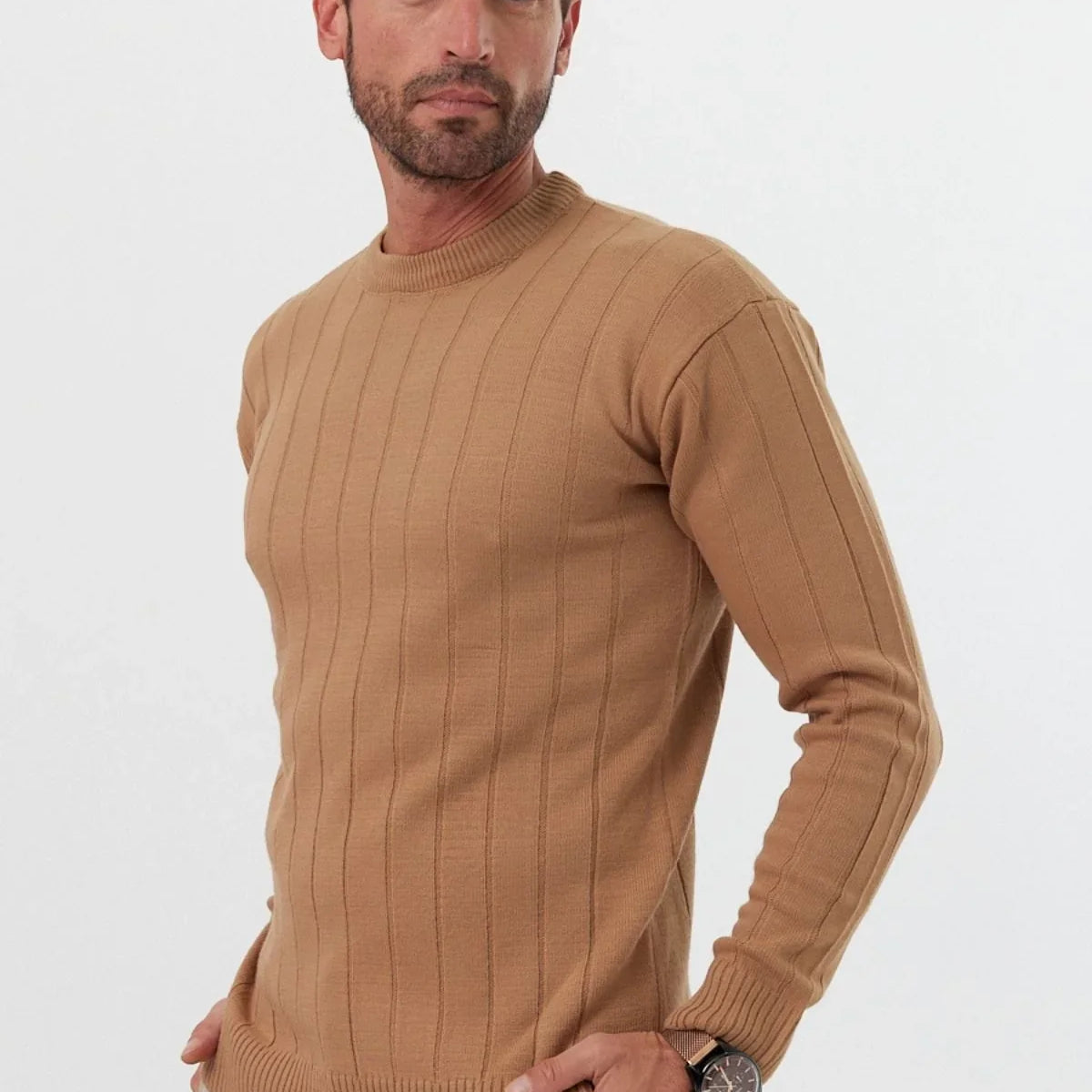 erkek-slim-fit-dar-kesim-bisiklet-yaka-triko-kazak-18942 - Livio Ferri