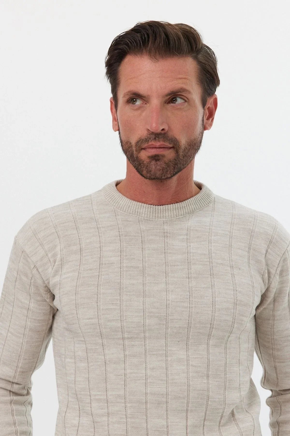 Erkek Slim Fit Dar Kesim Bisiklet Yaka Triko Kazak - Livio Ferri