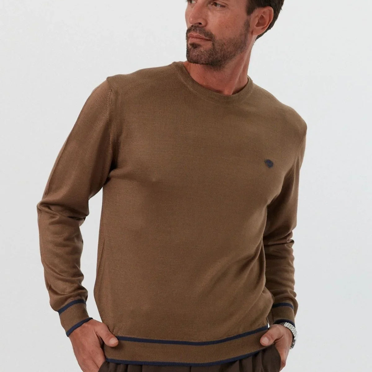 erkek-standart-fit-nakisli-normal-kesim-bisiklet-yaka-triko-kazak-17394 - Livio Ferri