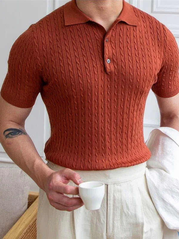 Erkek Polo Yaka Pamuk Saç Örgülü Slim Fit Kısa Kollu İnce Triko Tişört