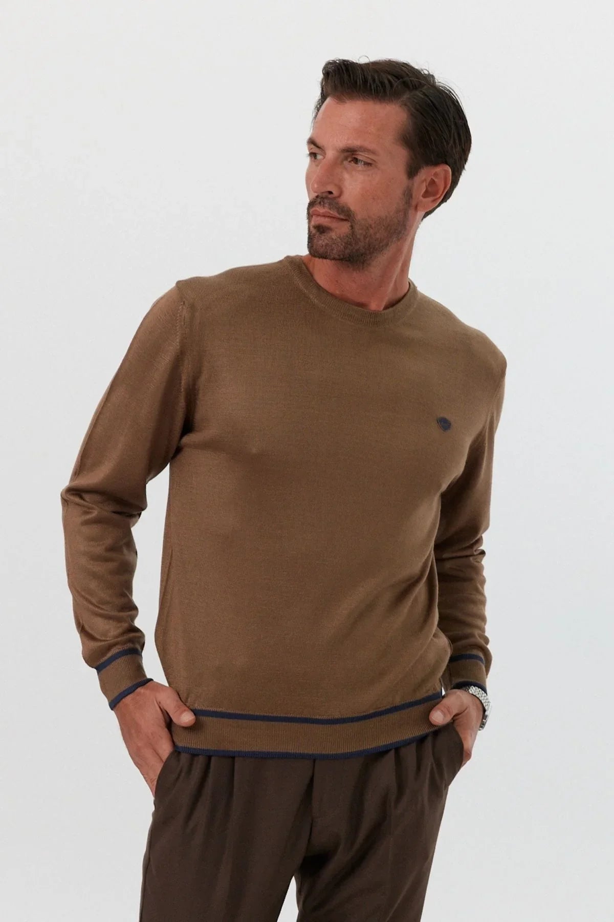 erkek-standart-fit-nakisli-normal-kesim-bisiklet-yaka-triko-kazak-17394 - Livio Ferri